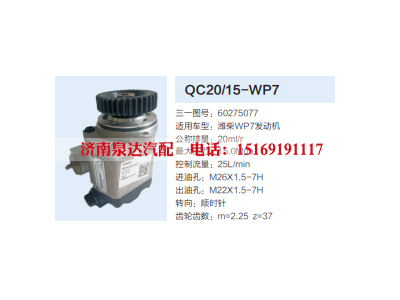 60275077,动力转向齿轮泵,济南泉达汽配有限公司