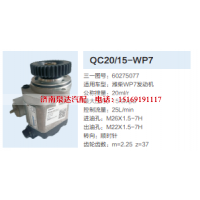 60275077,动力转向齿轮泵,济南泉达汽配有限公司