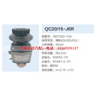 QC20/15-J6R,動(dòng)力轉(zhuǎn)向齒輪泵,濟(jì)南泉達(dá)汽配有限公司