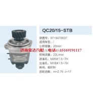 QC20/15-STB,動力轉(zhuǎn)向齒輪泵,濟南泉達汽配有限公司