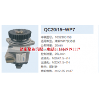 QC20/15-WP7,動力轉(zhuǎn)向齒輪泵,濟(jì)南泉達(dá)汽配有限公司