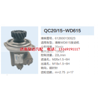 612600130523,齿轮泵,济南泉达汽配有限公司