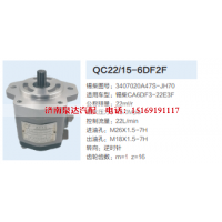 QC22/15-6DF2F,齿轮泵,济南泉达汽配有限公司