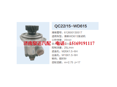 QC22/15-WD615,齿轮泵,济南泉达汽配有限公司