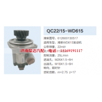 QC22/15-WD615,齿轮泵,济南泉达汽配有限公司