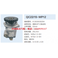 QC22/15-WP12,转向助力泵,济南泉达汽配有限公司