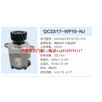 QC22/17-WP10-NJ,转向助力泵,济南泉达汽配有限公司