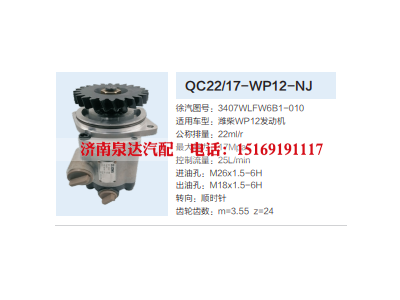 QC22/17-WP12-NJ,转向助力泵,济南泉达汽配有限公司