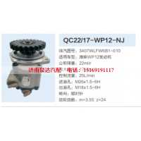 QC22/17-WP12-NJ,转向助力泵,济南泉达汽配有限公司