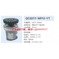 QC22/17-WP12-YT,转向助力泵,济南泉达汽配有限公司