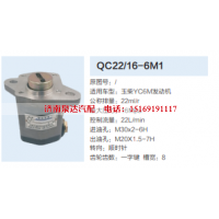 QC22/16-6M1,转向助力泵,济南泉达汽配有限公司