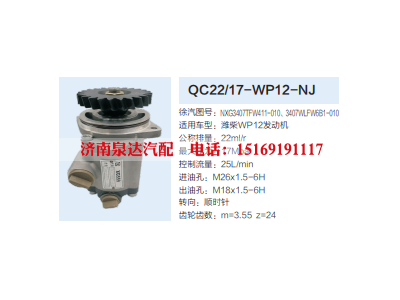 QC22/17-WP12-NJ,转向助力泵,济南泉达汽配有限公司