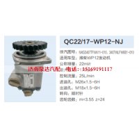 QC22/17-WP12-NJ,转向助力泵,济南泉达汽配有限公司