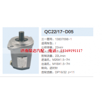 QC22/17-D05,转向助力泵,济南泉达汽配有限公司