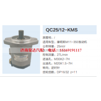 QC25/12-KMS,转向助力泵,济南泉达汽配有限公司