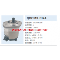 QC25/13-D14A,转向助力泵,济南泉达汽配有限公司