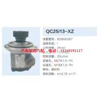 QC25/13-XZ,转向助力泵,济南泉达汽配有限公司