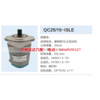 QC25/15-ISLE,转向助力泵,济南泉达汽配有限公司