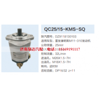 QC25/15-KMS-SQ,转向助力泵,济南泉达汽配有限公司