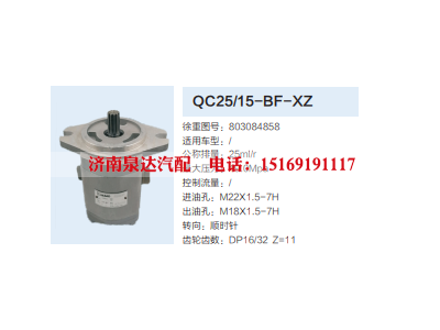 CQ25/15-BF-XZ,转向助力泵,济南泉达汽配有限公司