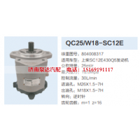 上柴SC12E430Q5發(fā)動機(jī)轉(zhuǎn)向齒輪泵動力轉(zhuǎn)向泵助力泵液壓泵