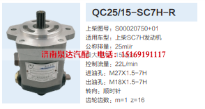 QC25/15-SC7H-R,转向助力泵,济南泉达汽配有限公司