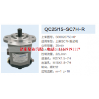 QC25/15-SC7H-R,转向助力泵,济南泉达汽配有限公司