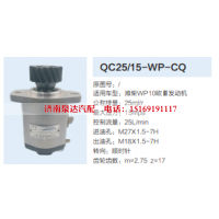 QC25/15-WP-CQ,转向助力泵,济南泉达汽配有限公司