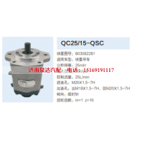 QC25/15-QSC,转向助力泵,济南泉达汽配有限公司