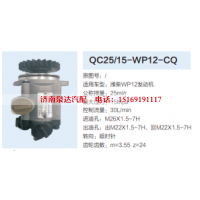 QC25/15-WP12-CQ,转向助力泵,济南泉达汽配有限公司