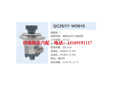 QC25/17-WD615,转向助力泵,济南泉达汽配有限公司