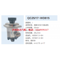 QC25/17-WD615,转向助力泵,济南泉达汽配有限公司