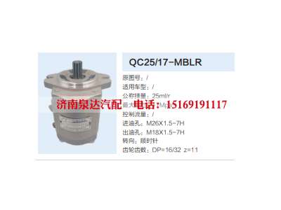 QC25/17-MBLR,转向助力泵,济南泉达汽配有限公司