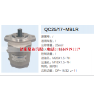 QC25/17-MBLR,转向助力泵,济南泉达汽配有限公司