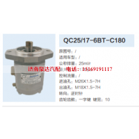 QC25/17-6BT-C180,转向助力泵,济南泉达汽配有限公司