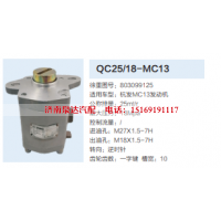 QC25/18-MC13,转向助力泵,济南泉达汽配有限公司