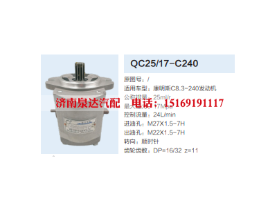 QC25/17-C240,转向助力泵,济南泉达汽配有限公司