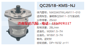 QC25/18-KMS-NJ,转向助力泵,济南泉达汽配有限公司