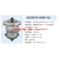 QC25/18-KMS-NJ,转向助力泵,济南泉达汽配有限公司