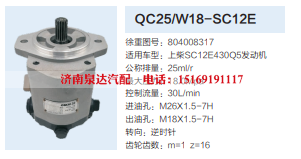 QC25/W18-SC12E,转向助力泵,济南泉达汽配有限公司