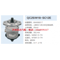 QC25/W18-SC12E,转向助力泵,济南泉达汽配有限公司