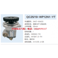 QC25/19-WP12N1-YT,转向助力泵,济南泉达汽配有限公司