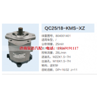 QC25/18-KMS-XZ,转向助力泵,济南泉达汽配有限公司