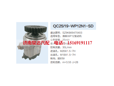 QC25/19-WP12N1-SD,转向助力泵,济南泉达汽配有限公司