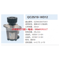 QC25/19-WD12,转向助力泵,济南泉达汽配有限公司