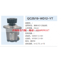 QC25/19-WD12-YT,转向助力泵,济南泉达汽配有限公司