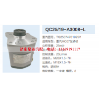 QC25/19-A3008-L,转向助力泵,济南泉达汽配有限公司