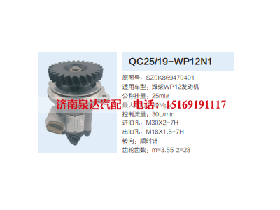 QC25/19-WP12N1,转向助力泵,济南泉达汽配有限公司