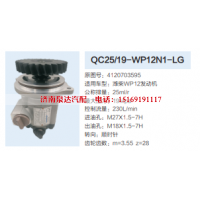 QC25/19-WP12N1-LG,转向助力泵,济南泉达汽配有限公司