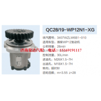 QC28/19-WP12N1-XG,转向助力泵,济南泉达汽配有限公司